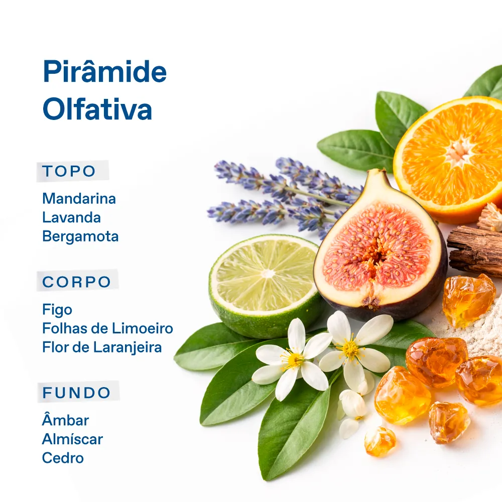 Deo Colônia Unissex Avgoustos 5
